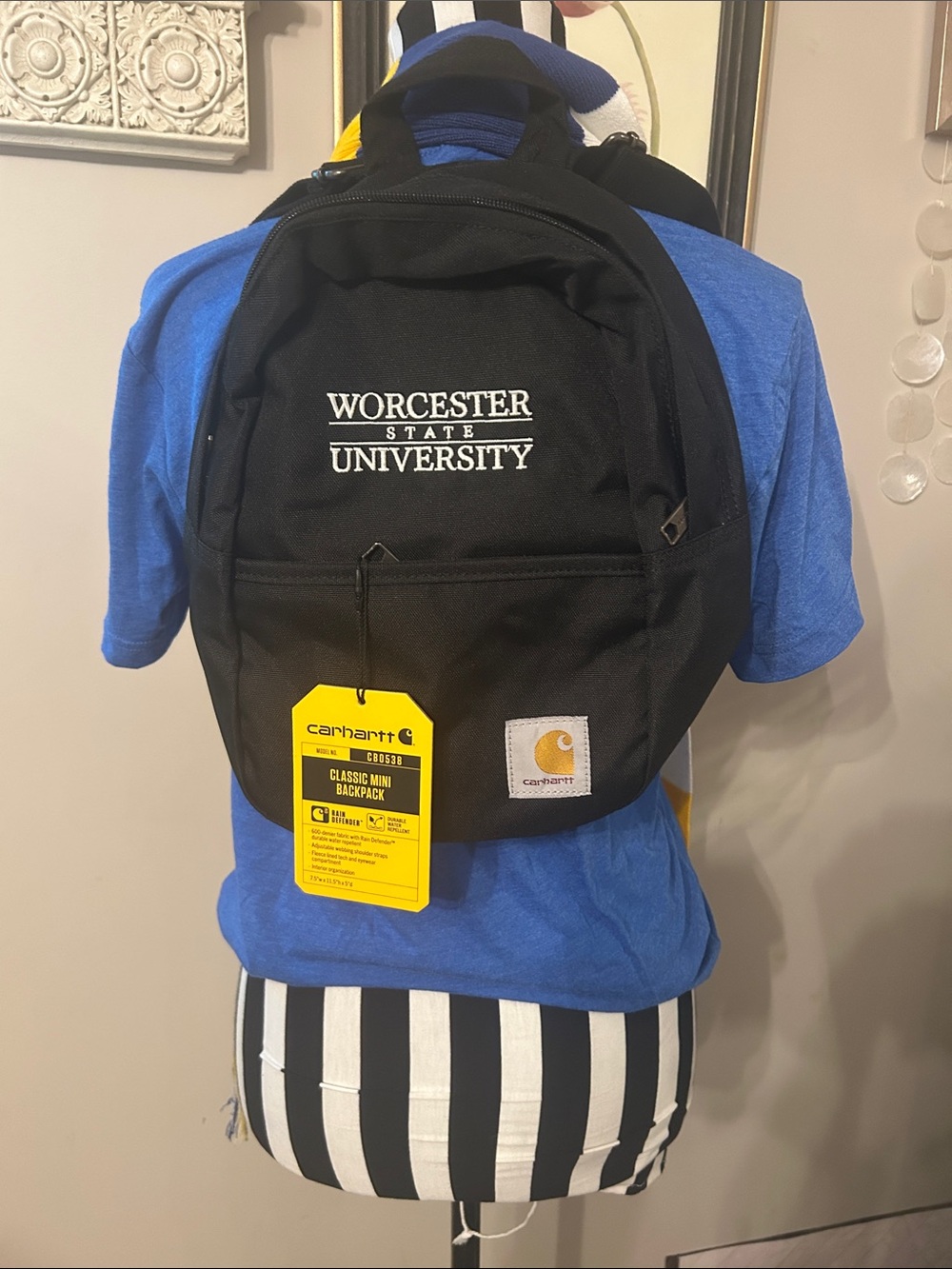 Worcester State University Blue & Gold stripe Scarf Carharrt Backpack & decals